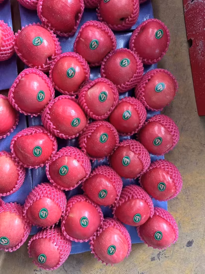 Marca Manzana En Conserva Rosa La Dy FUJI Calidad Seleccionada Malus Fruta Nacional